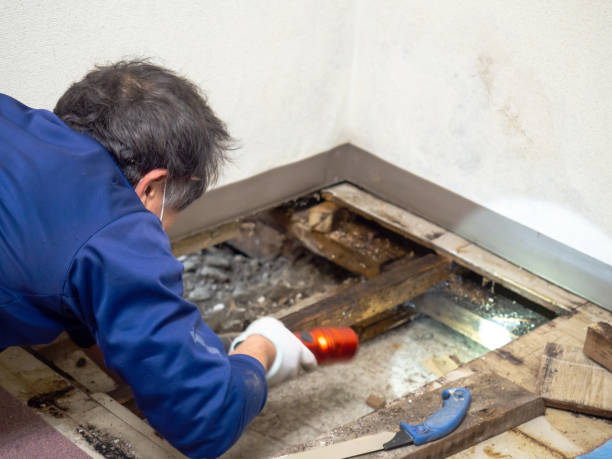 Mullica Hill, NJ Mold Remediation Company