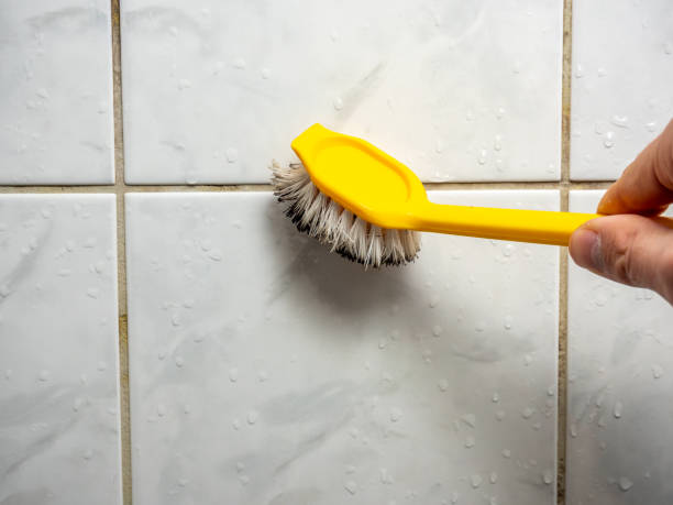 Best Insurance-Related Mold Remediation in Mullica Hill, NJ